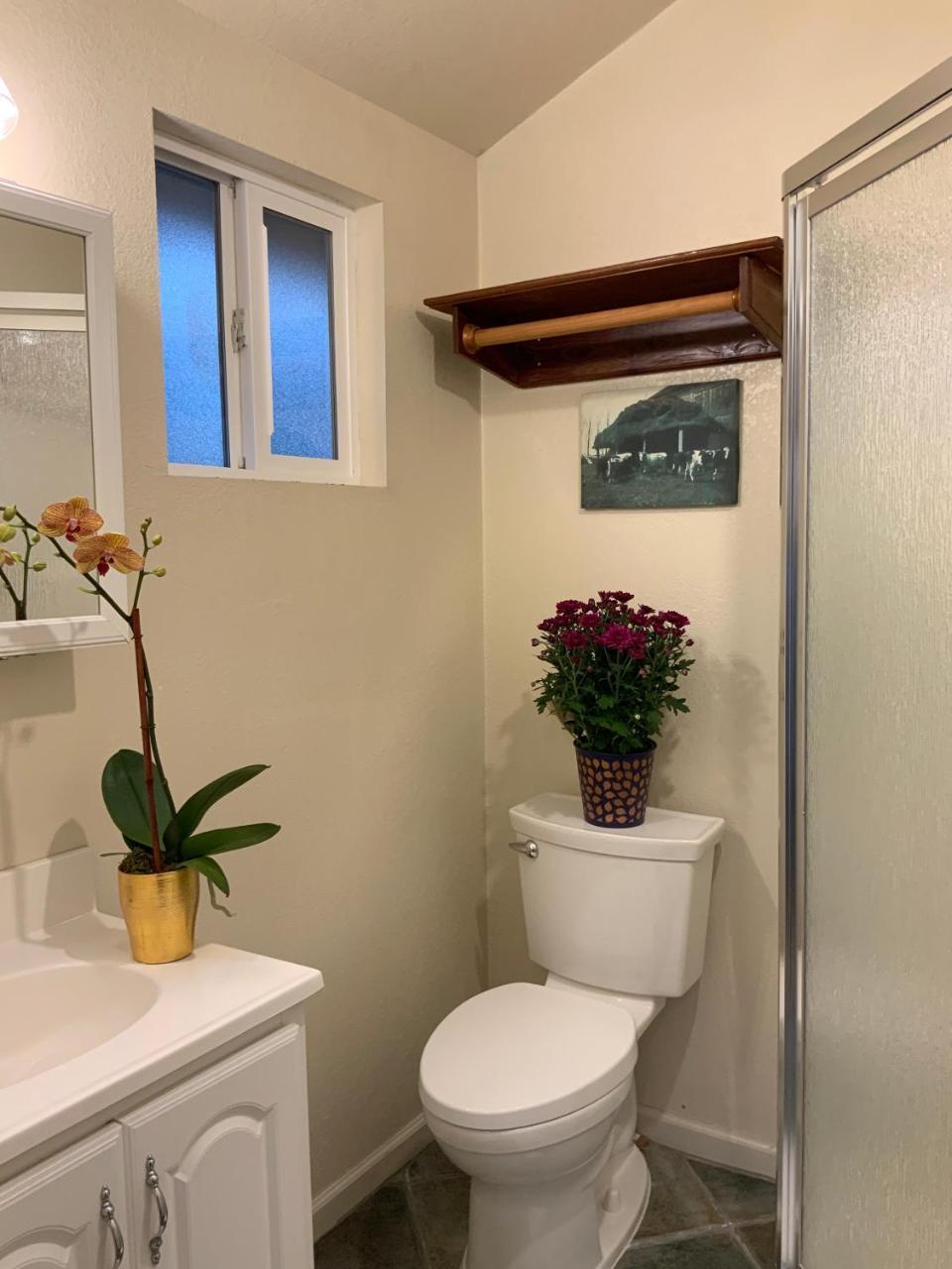 The Woods Hotel - Gay Lgbtq Cabins Guerneville Εξωτερικό φωτογραφία